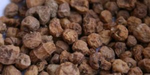 Земляний горіх: як росте, вирощування, користь і шкоду, фото » журнал здоров'я iHealth 1