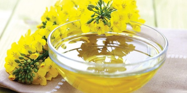 Рижієва олія: як приймати, користь і шкоду, відгуки » журнал здоров'я iHealth 
